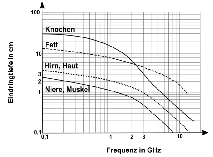 Log-Log-Diagramm: Eindringtiefe (cm) gegen Frequenz (GHz) mit Kurven für Knochen, Fett, Hirn/Haut, Niere/Muskel.